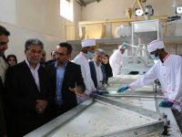 راه اندازی خط تولید قند کله پرسی و قند خرد کنی | شهرستان میناب استان هرمزگان